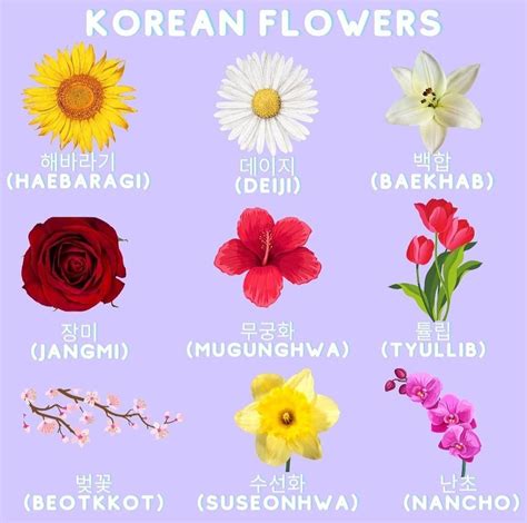 flowers meaning in korea
