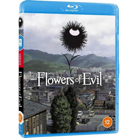 Flowers Of Evil Blu Ray