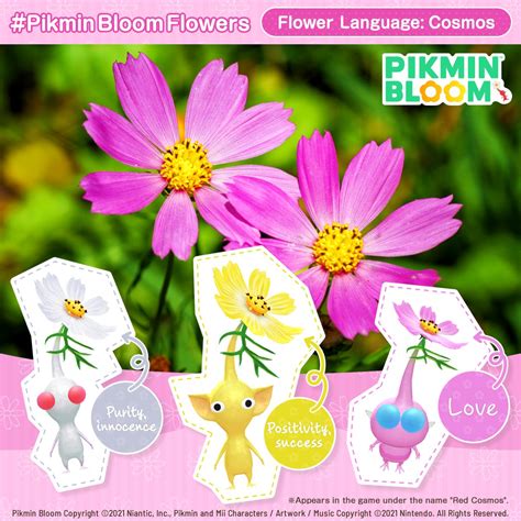 Flowers Pikmin Bloom