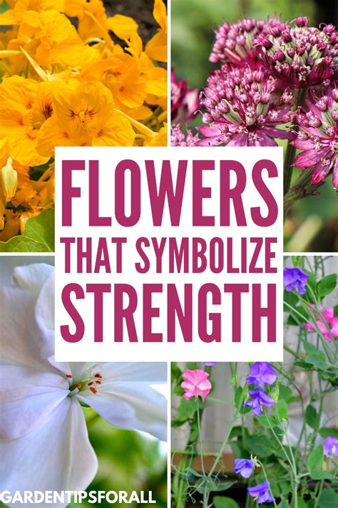 Flowers Represent Strength