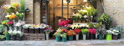 Flowers Same Day Delivery Ipswich