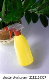 flowers shower squirt