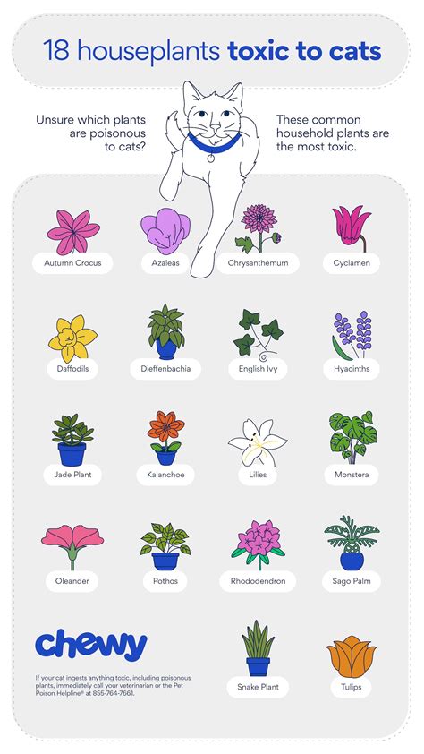 Flowers That Can Kill A Cat