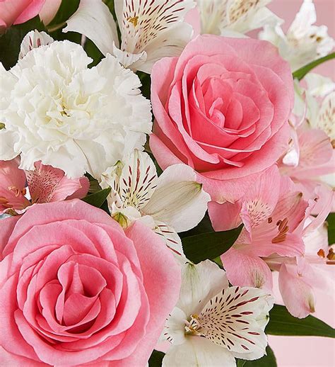 Flowers.com Free Shipping