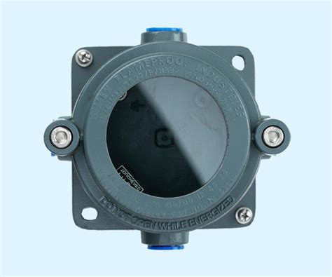 Learn About How Much Is Carnival Barebacking Fans: Step by Step 2026