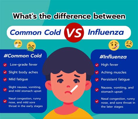 Flu or Cold: Know the Surprising Differences and Symptoms