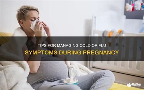 Pregnant With Flu Symptoms? Essential Guide for Your Health