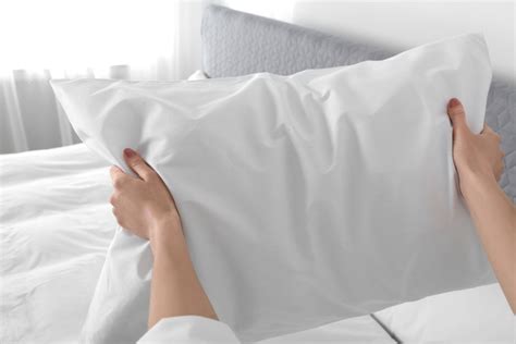 Fluff The Pillow