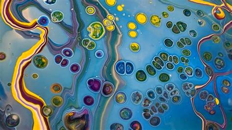 Fluid Art Cells