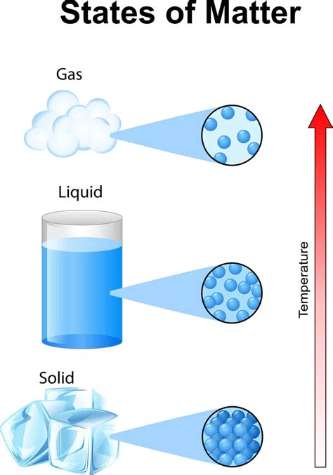 Fluids and Molecules