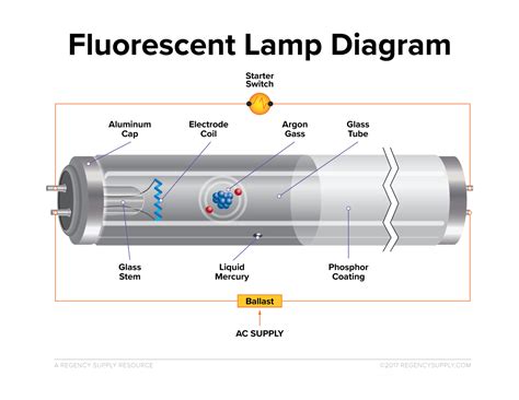 Fluorescent Lamp Definition Easy