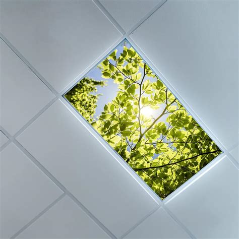 Fluorescent Light Covers Australia