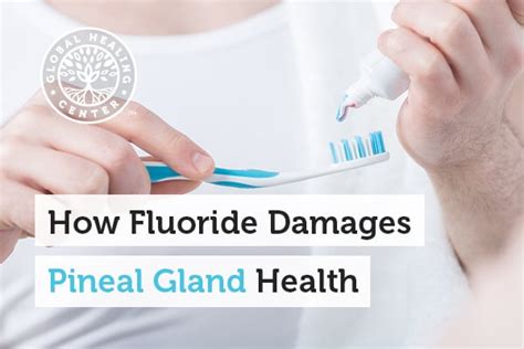 Fluoride In Toothpaste Pineal Gland