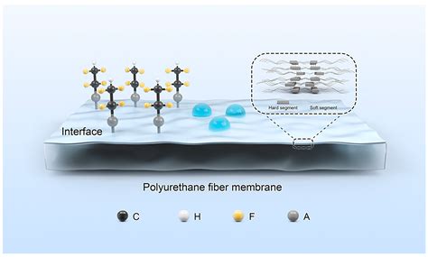 Fluorinated Polyurethane Elastomer