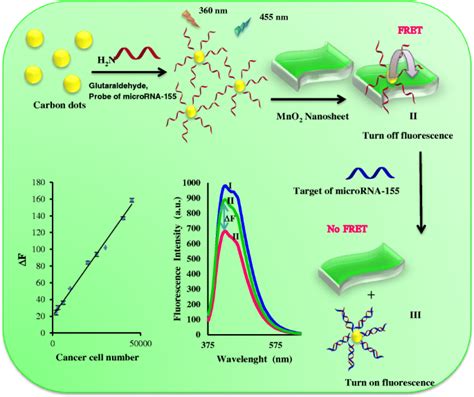 Fluorometric Determination
