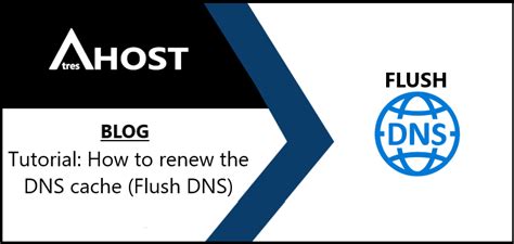 Flush Dns Tutorial