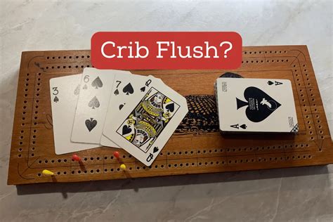 Flush In Crib Cribbage