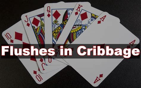 Flush In Crib Points