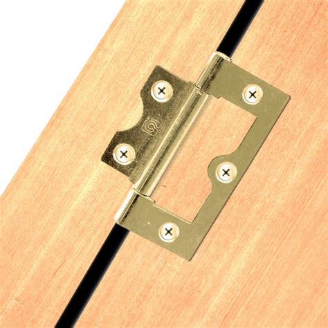 Flush Internal Door Hinges
