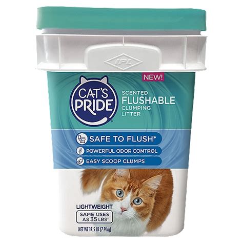 Flushable Kitty Litter Brands