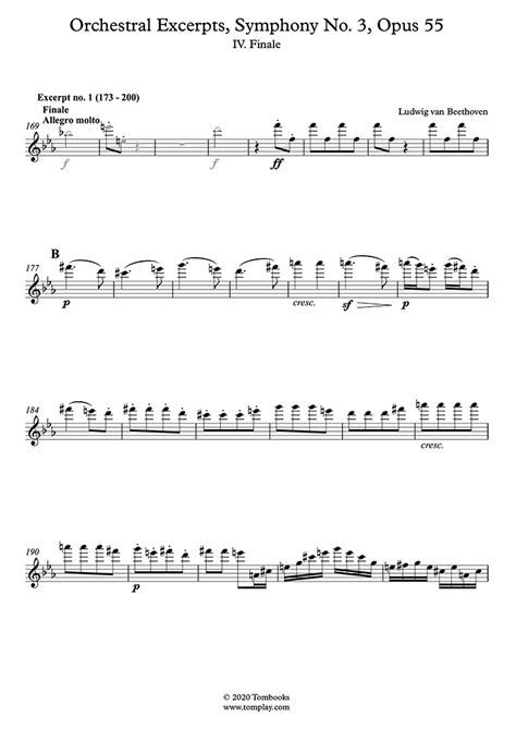 Flute Excerpts