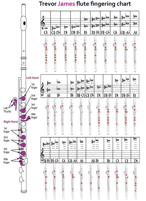 Flute For Beginners Notes