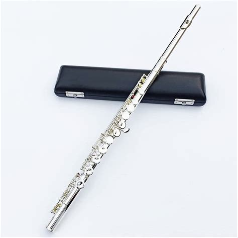 Flute Traversiere Amazon