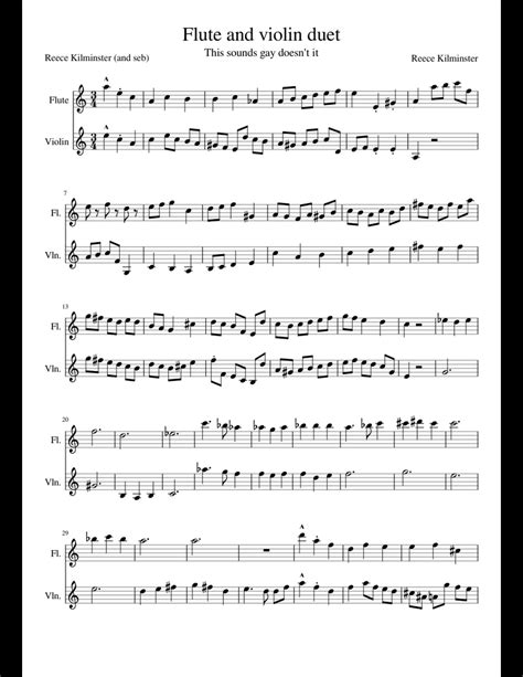Flute Violin Duet