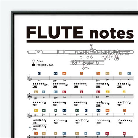 Flute Visual Description