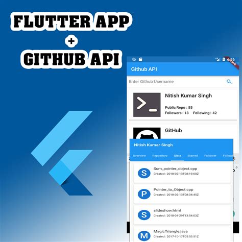 flutter api example github