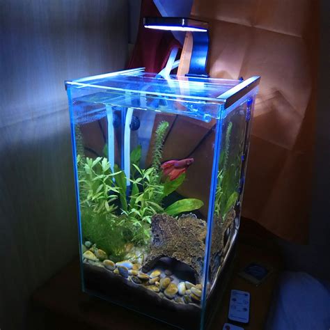 Fluval Chi Filter Light Not Working