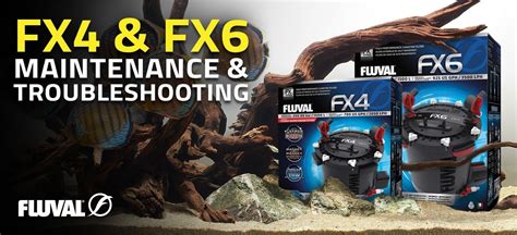 Fluval Fx6 Problems