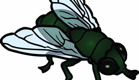 Fly Clip Art Free - Cliparts.co