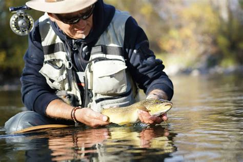 Fly Fishing Movie: A Must-Watch For Anglers In 2023