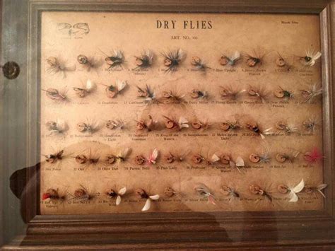 Fly Display Case