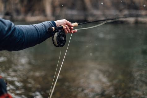 fly fishing beginners
