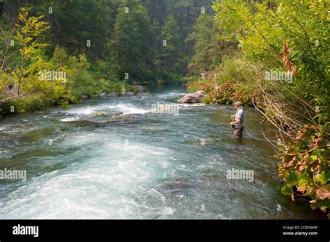 Fly Fishing Fast Rivers