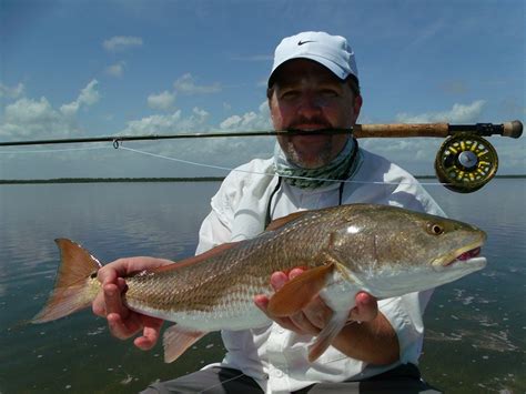 Fly Fishing Flamingo Florida