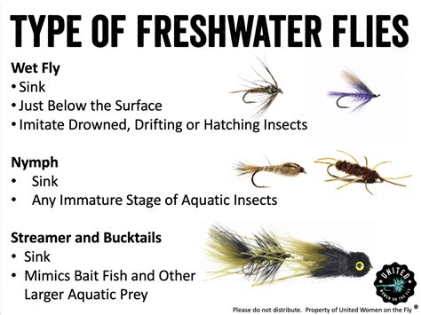 fly fishing fly identifier