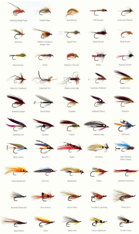 Fly Fishing Fly Identifier