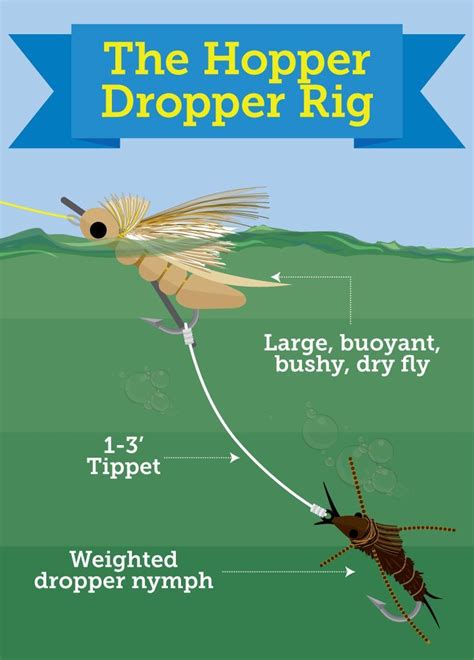 fly fishing hopper dropper rig