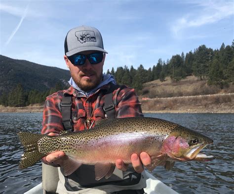 Fly Fishing for Trout in Missoula, Montana