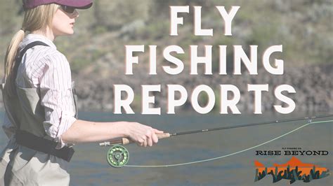 Fly Fishing Report