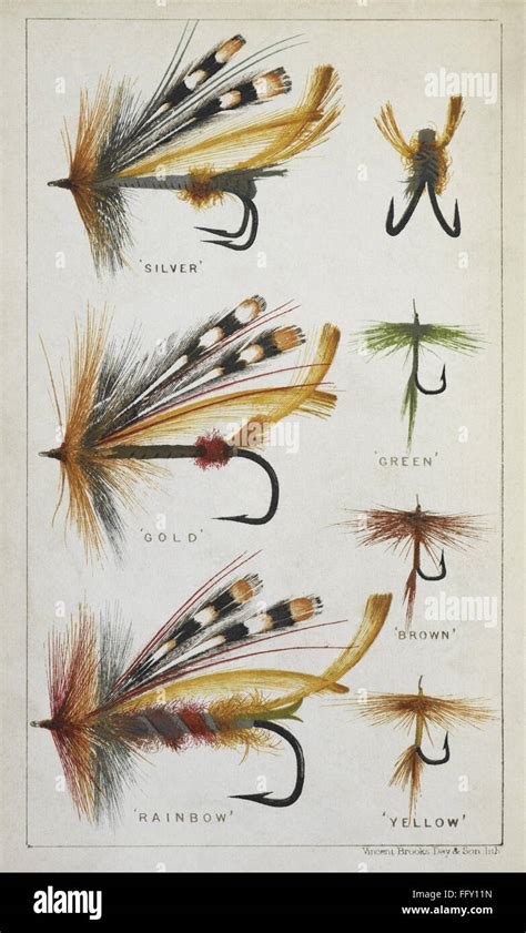 Fly Fishing Trolling Techniques