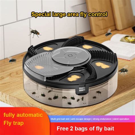 Fly Killer Kitchen