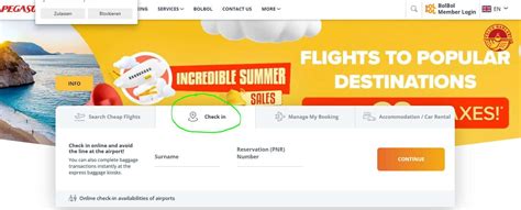 fly pegasus online check in