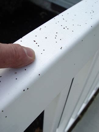 Say Goodbye to Pesky Fly Spots on Blinds: Effective Cleaning Tips for a Spotless Home