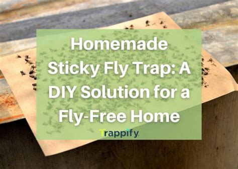Fly Trap Solution Diy