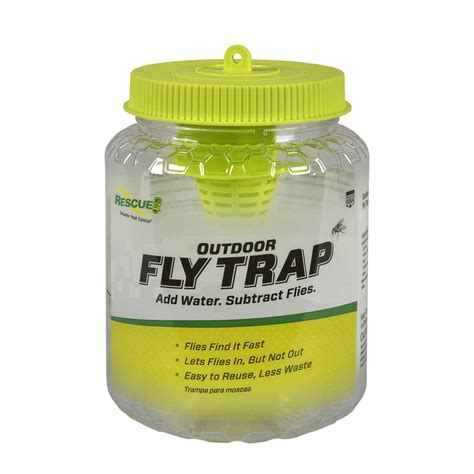 fly traps ace hardware