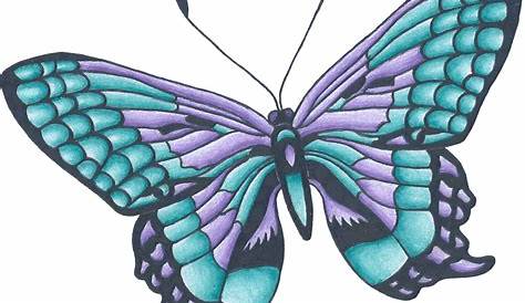 Butterfly Drawing Color at GetDrawings | Free download
